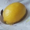 【ノワ・ドゥ・ブール】レモンのケーキ：この世でいちばん好きなレモンケーキ