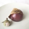 Thumbnail of new posts 110