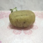 Thumbnail of post image 019
