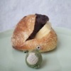 Thumbnail of new posts 019