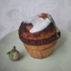 Thumbnail of new posts 009