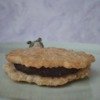 Thumbnail of new posts 167